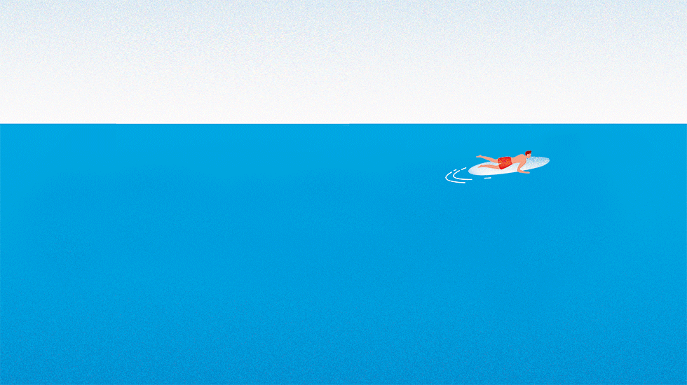 AfD Illustration Hai