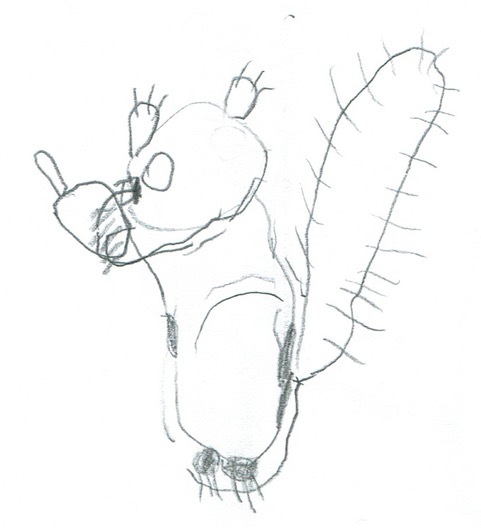 Eichhörnchen mit Anleitung