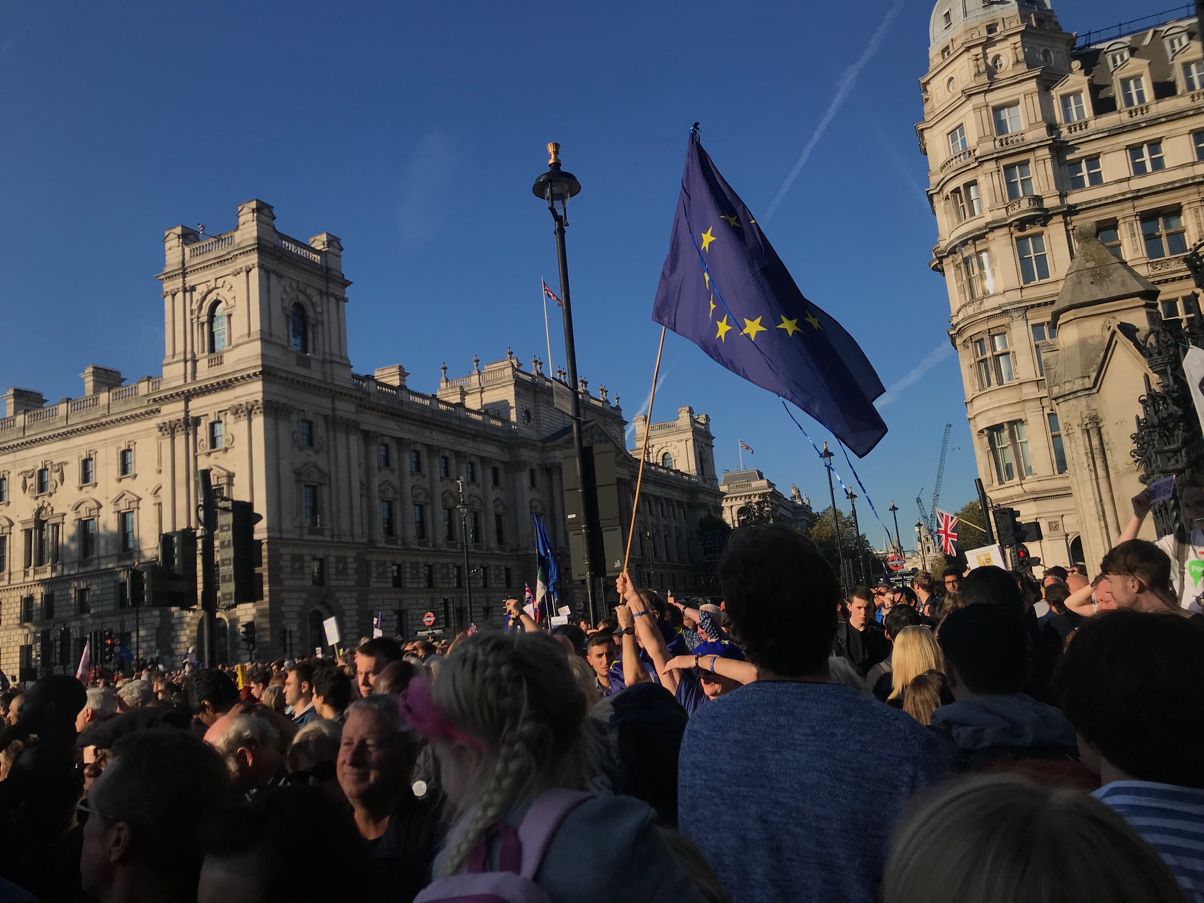 Protestmarsch für den Brexit