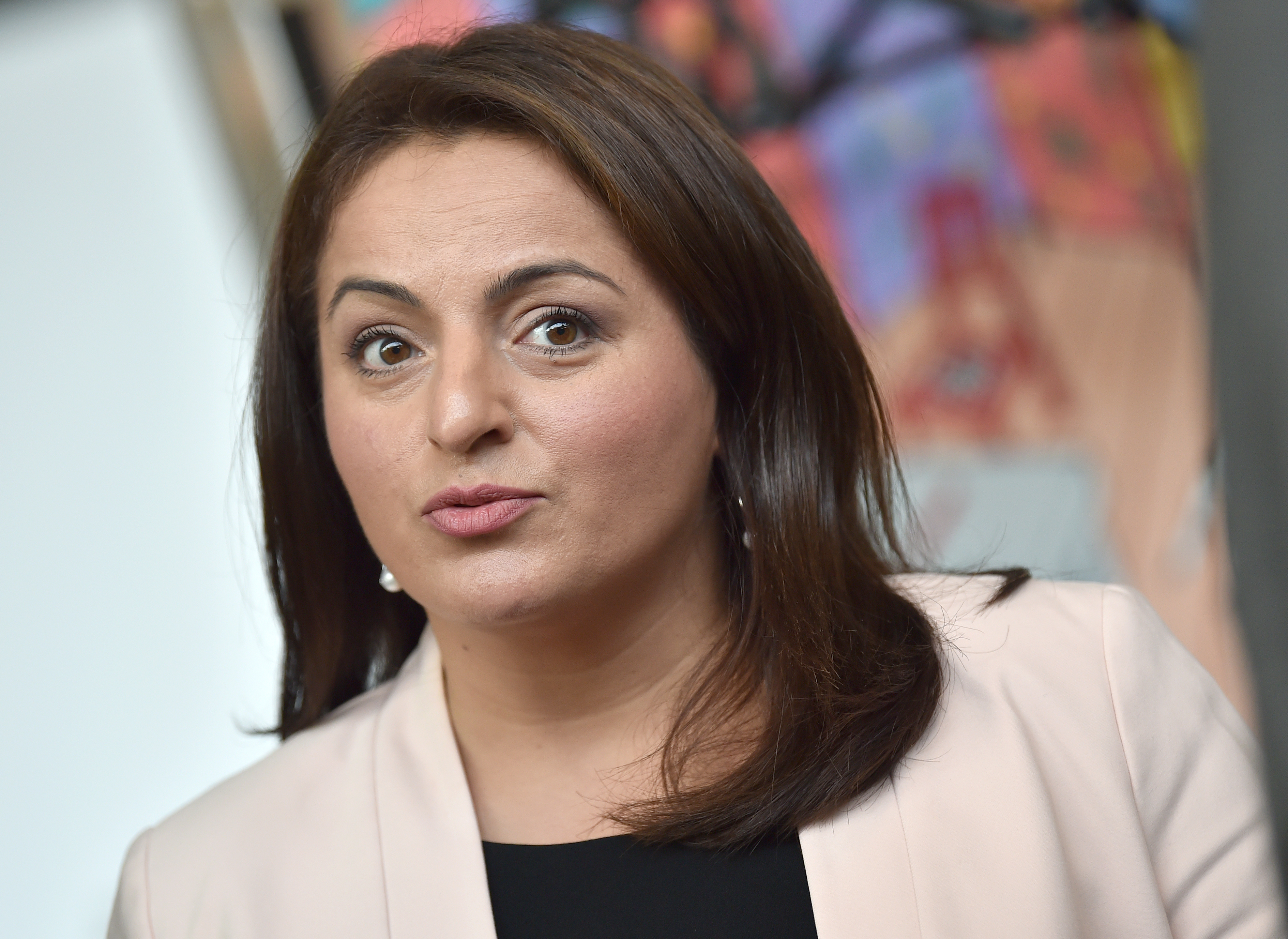 Sevim Dagdelen / picture alliance