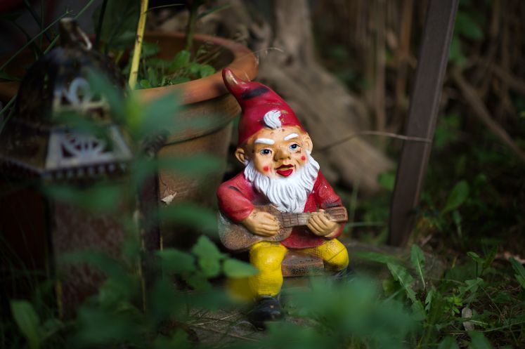 Der Gartenzwerg beim deutschen Nachbarn