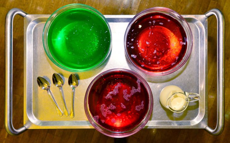 Zwei Schüsseln mit roter und eine Schüssel mit grüner "Götterspeise" 