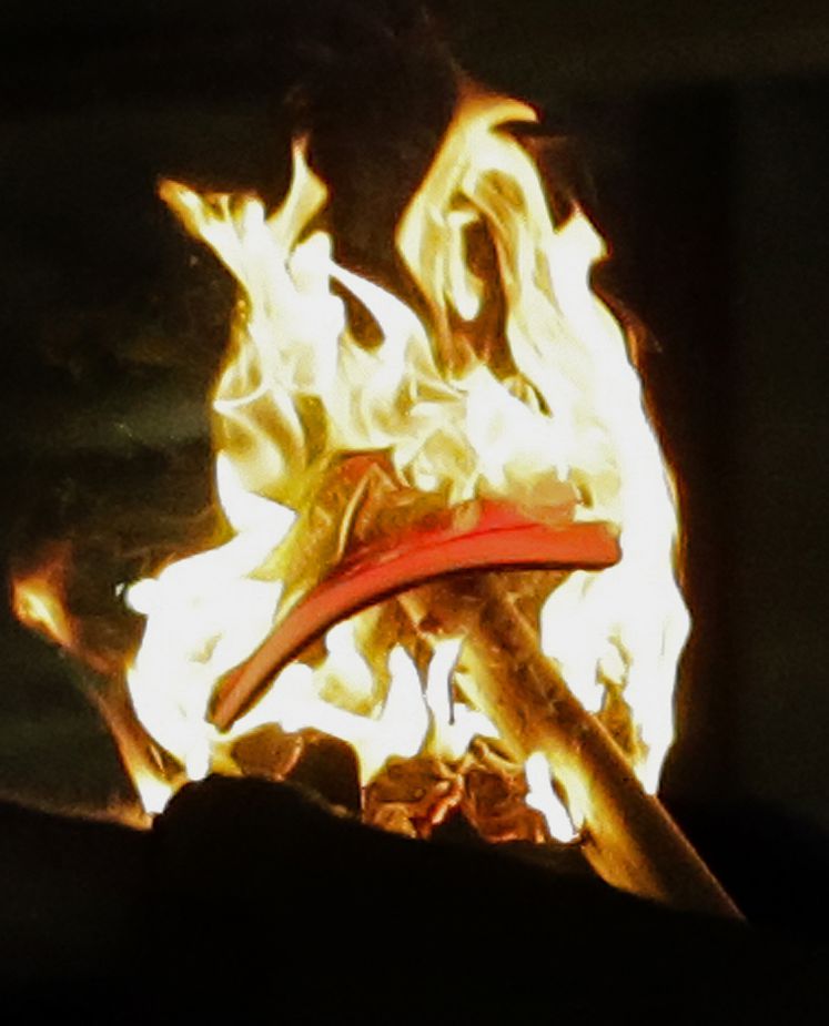 Bei Protesten an der Universität in Berkely wird eine Trump-Kappe verbrannt / pictur alliance