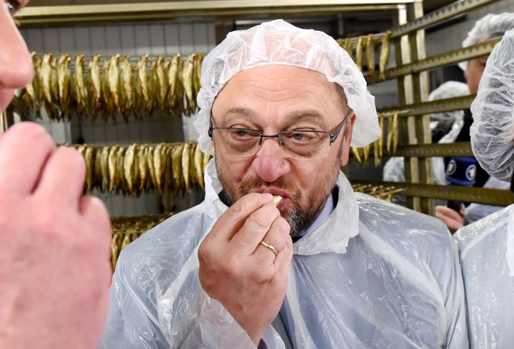 Martin Schulz probiert in Eckernförde (Schleswig-Holstein) eine Kieler Sprotte