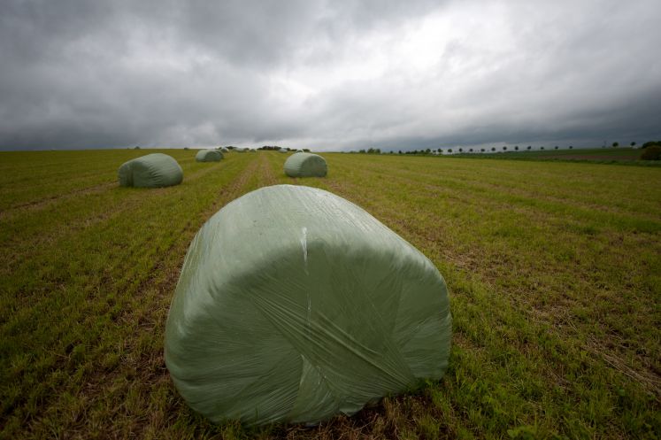 Heuballen liegen auf einem abgeerntetem Feld vor einem wolkenverhangenem Himmel