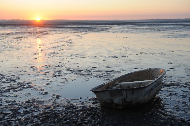 Ruderboot auf einem Wattemeer
