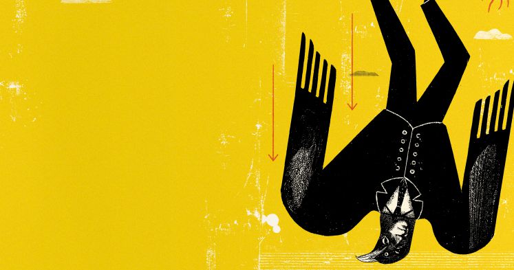 Der Bundesadler stürzt nach unten