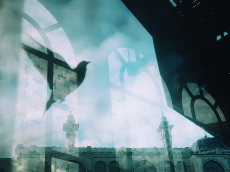 Blick auf die Omar-Moschee in Berlin-Kreuzberg mit Taube im Spiegelbild / Tobias Kruse