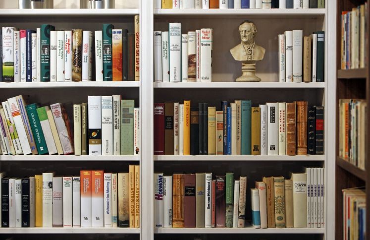 Ein Bücherregal mit verschiedenen Büchern und einer kleinen Büste von Johann Wolfgang von Goethe