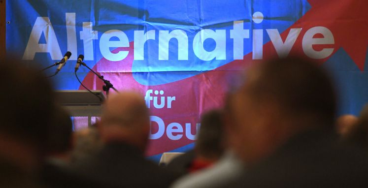 AfD Symbolbild