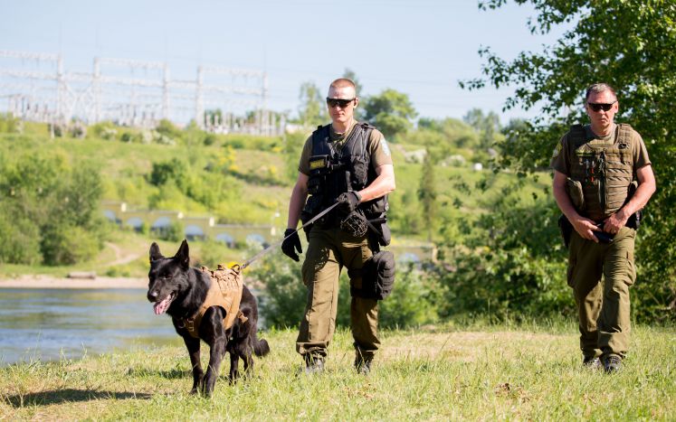 Truppen an der Grenze zwischen Russland und Estland