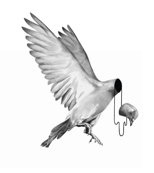 Illustration kopflose Taube