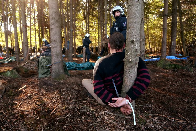 Protest im Hambacher Forst