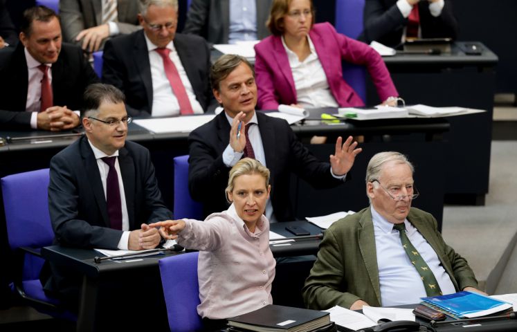 Alice Weidel, Fraktionskollegen