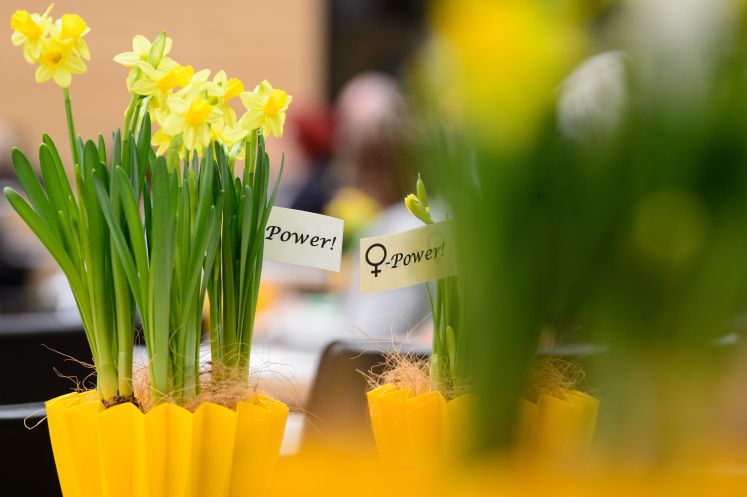  Baden-Württemberg, Stuttgart: Blumen stehen auf dem Trisch von Abgeordneten des Landtags. Die Landtagspräsidentin Aras (Bündnis 90/Die Grünen) hat zum Internationalen Frauentag Blumen an die weiblichen Abgeordneten verteilt, zu dpa «Landtagspräsidentin mahnt höheren Frauenanteil im Parlament an vom 08.03.2018 