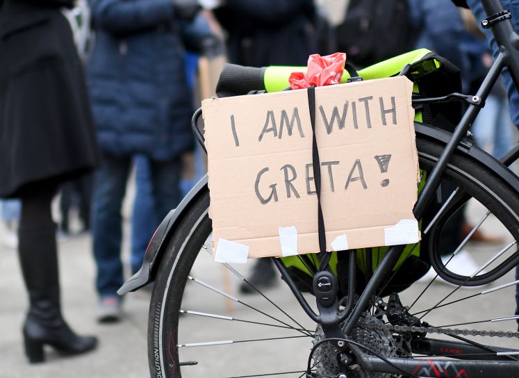 Plakat bei Fridays for future-Demon