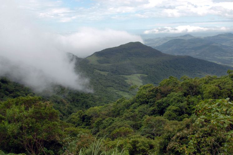 Das Bild zeigt eine Regenwaldlandschaft in Brasilien.