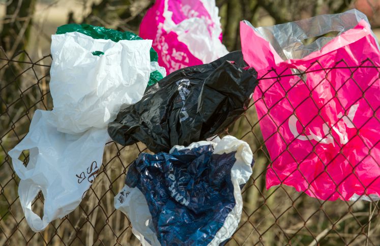 Viele weggeworfene Plastiktüten haben sich durch den Wind in einem Zaun in Frankfurt (Oder) (Brandenburg) verfangen, aufgenommen am 03.03.2015. Plastiktüten schwimmen auf dem Meer oder liegen und hängen herum - und schaden der Umwelt enorm.