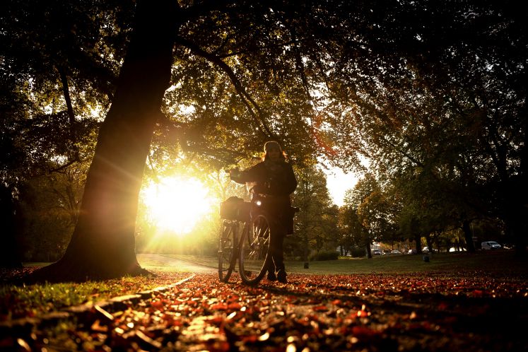 abstiegsangst-wirtschaft-narrativ-fortschritt