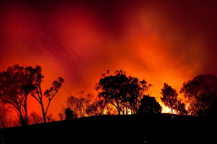 buschfeuer-australien-dschungelcamp-bild-rtl