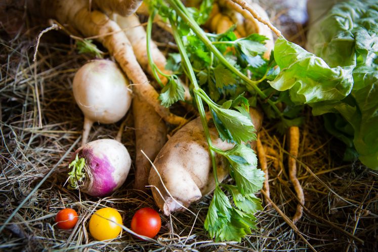 Auf dem Boden verteiltes Gemüse