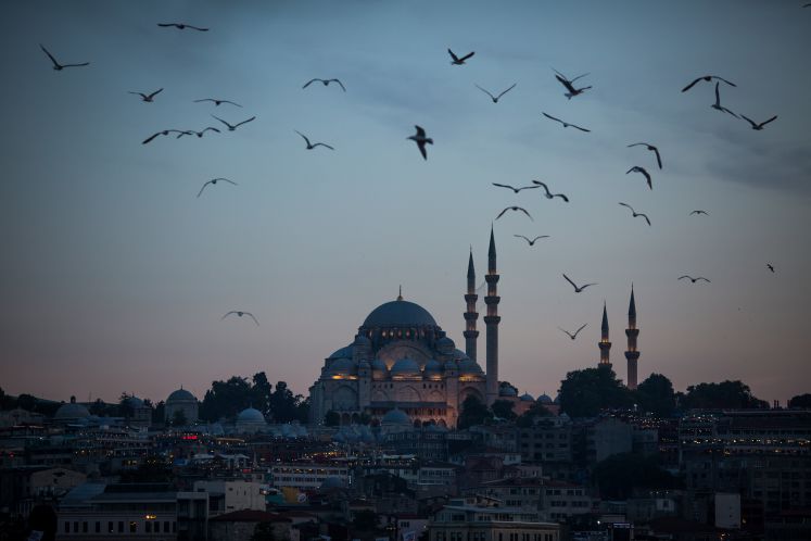 islam-fundamentalismus-plaedoyer-buchauszug-ruud-koopmans-islamismus-thilo-sarrazin-geert-wilders-terrorismus