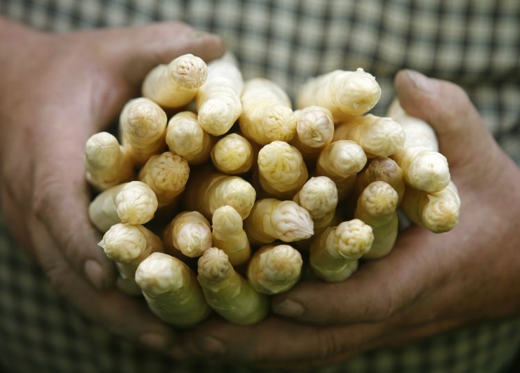 coronakrise-notvorrat-spargel-rezept-saison-genuss