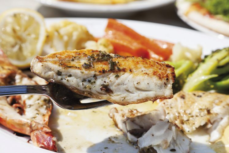 coronakrisenkueche-zanderfilet-fischfang-überfischung-rezept