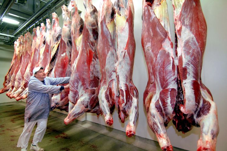 fleischindustrie-corona-krise-system-interview