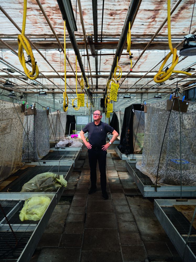 insekten-agrarrevolution-soldatenfliege-nutztierhaltung-hermetia-baruth-heinrich-katz-landwirtschaft