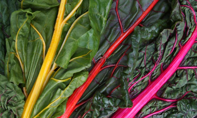 mangold-lachs-roulade-spinat-rezept-genuss