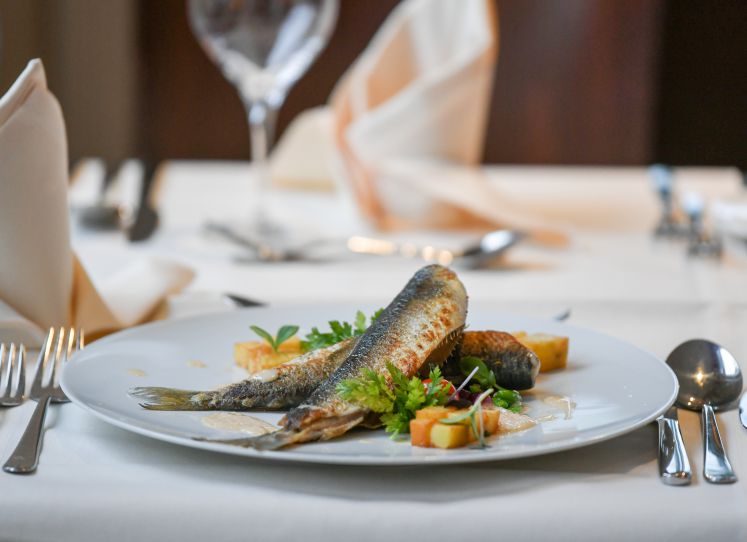 hering-fisch-zubereitung-brathering-rezept