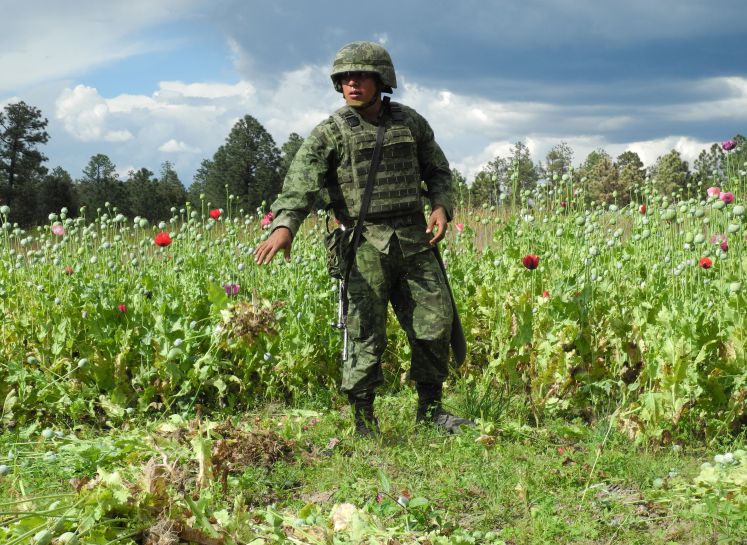 drogen-in-acapulco-mexiko-kriminalität