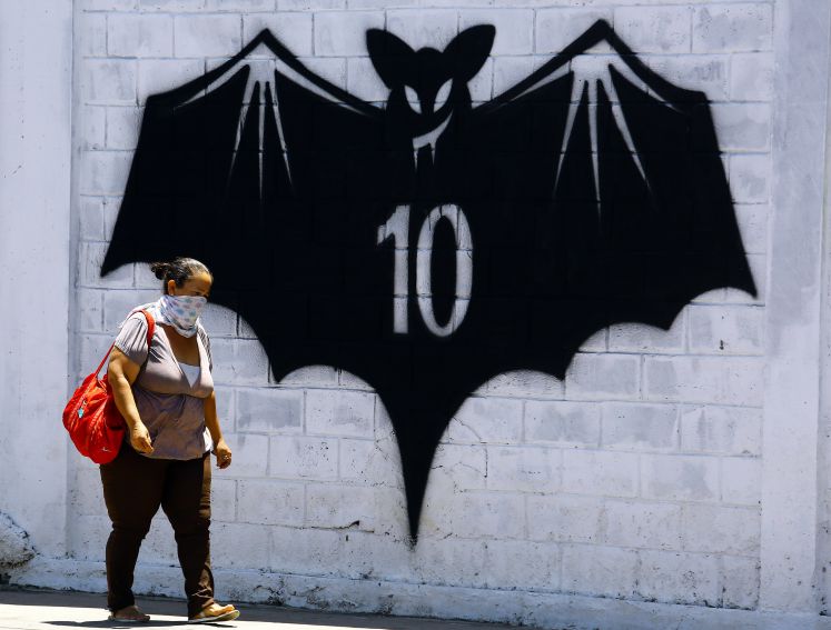 /aussenpolitik/corona-ursprung-fledermaus-wildtiermarkt-wuhan-who