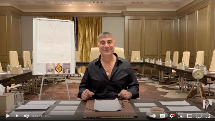 /aussenpolitik/sedat-peker-videos-youtube-tuerkei-mafia