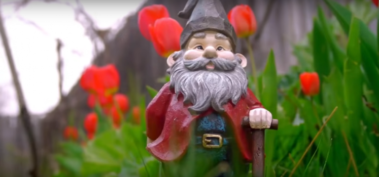 wahlwerbespot-der-afd-normales-deutschland-tillschneider-gauland