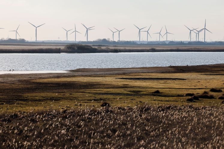 klimapolitik-wir-haben-die-wahl-klimawandel