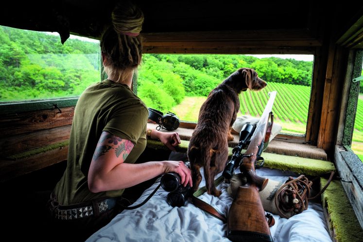 /wirtschaft/junge-jager-waidfrauheil/plus