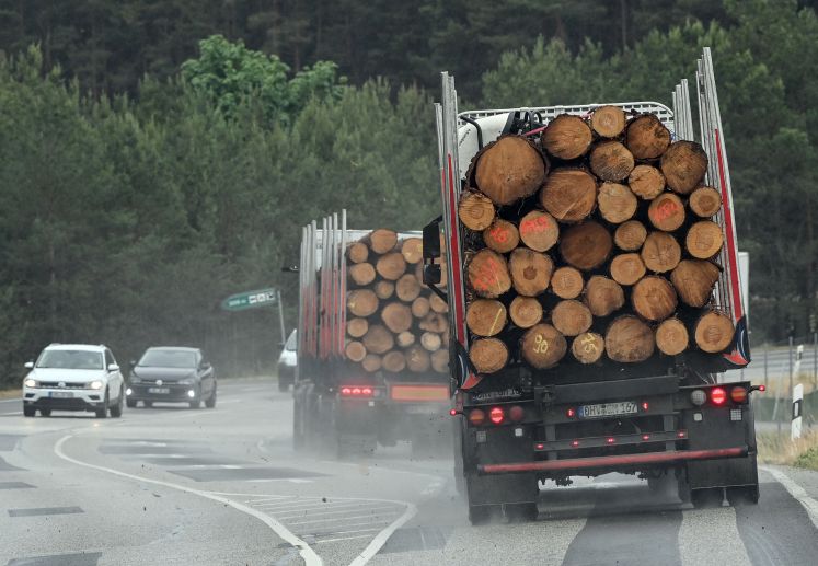 LKW beladen mit Baumstämmen
