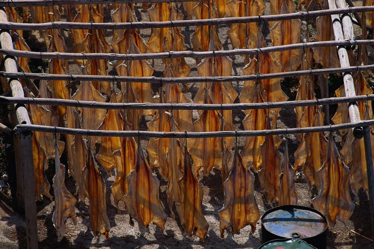 /kultur/genuss-mal-anders-portugal-fur-zuhause