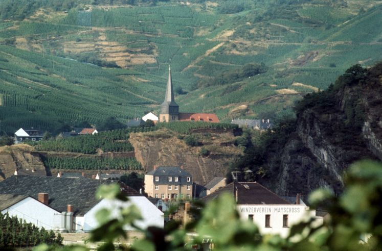 Grüne Hänge eines Weinanbaugebietes am Fluss Ahr