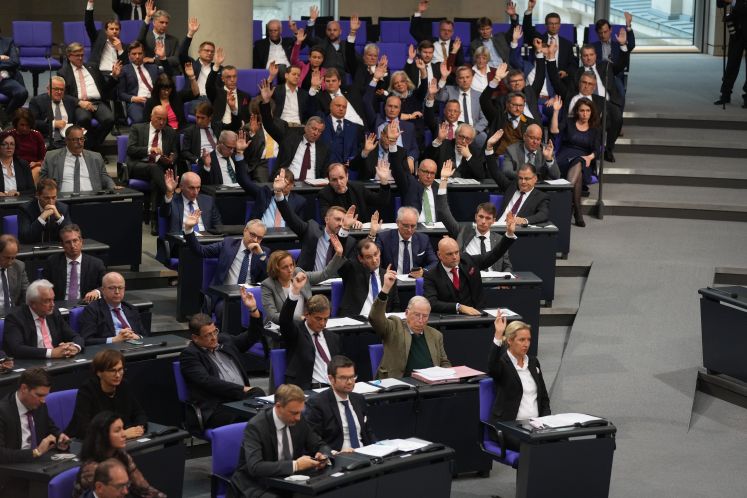 AfD im Bundestag