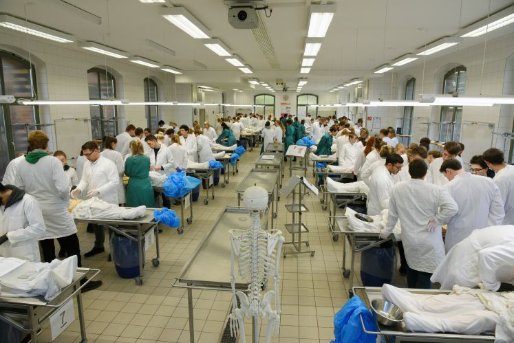 /innenpolitik/evidenzbasierte-medizin-in-der-corona-krise