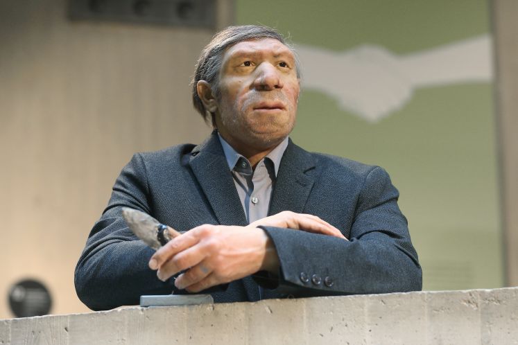 Neandertaler