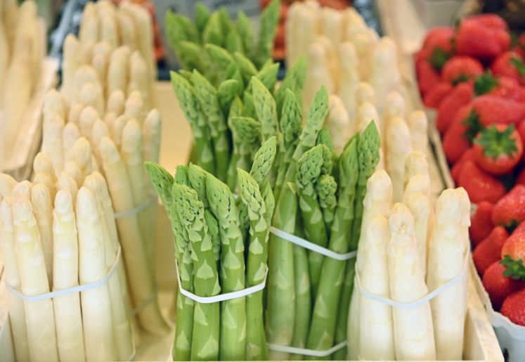 Spargel