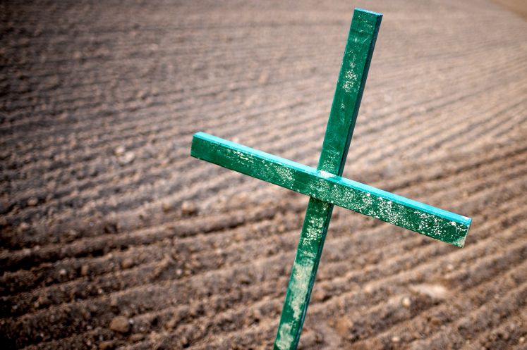 Grünes Kreuz als Mahnmal