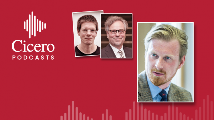 Meyer Sommer Hasselhorn