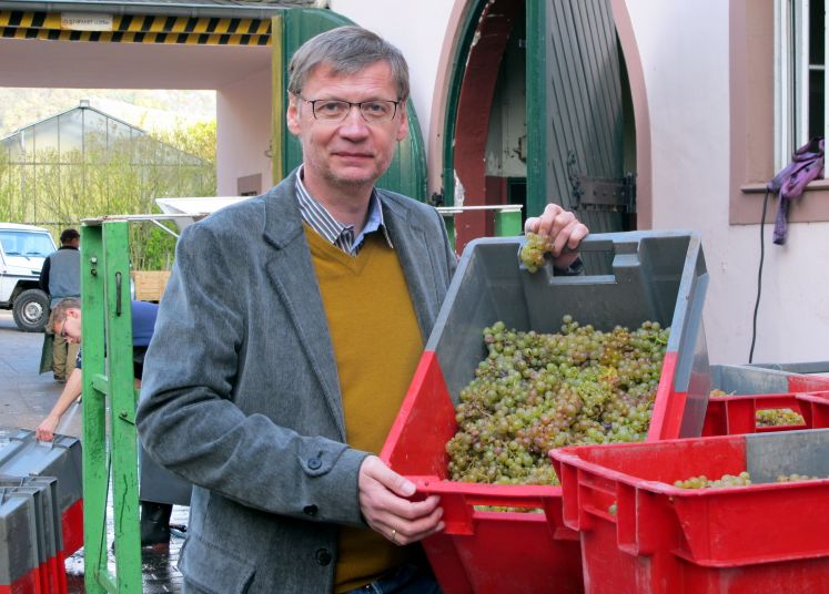 Günther Jauch präsentiert seine Weinernte