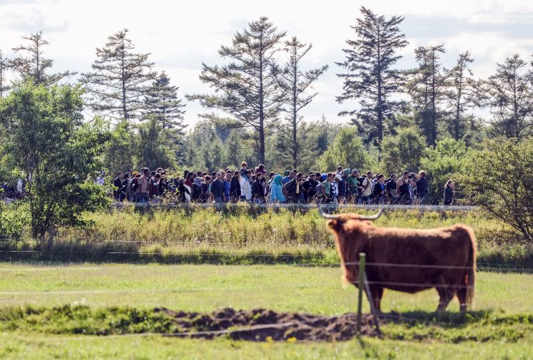 Zahlreiche Flüchtlinge laufen am 09.09.2015 bei Kliplev über die Fahrbahn der dänischen Autobahn E 45 in Richtung Norden. Die Flüchtlinge wollen sich nicht in Dänemark registrieren lassen, sondern zu Fuß weiter nach Schweden reisen. Foto: Benjamin Nolte/dpa 