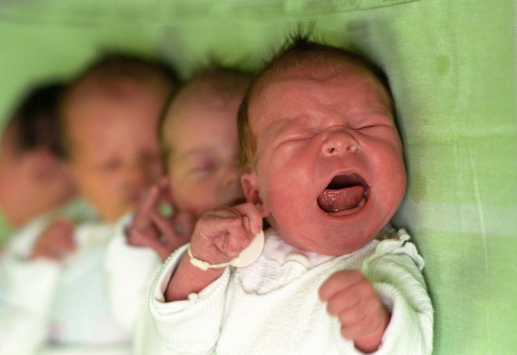 Erst wenige Stunden alt sind diese Chemnitzer Babies